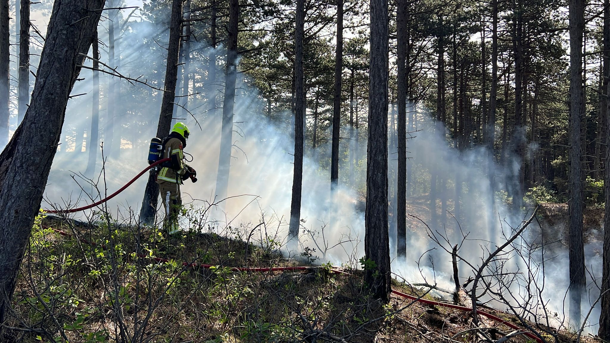 Brandweerman blust een bosbrand, omringd door rook en bomen, met een waterstraal in de hand.