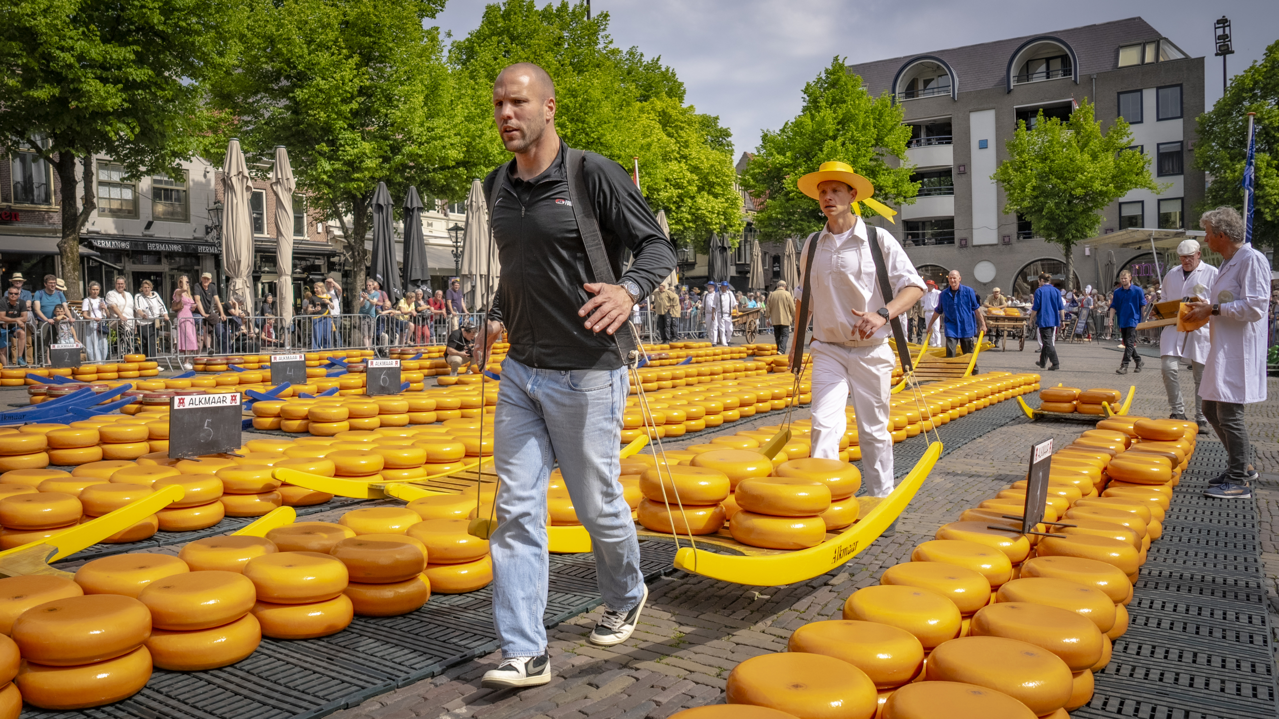 Kaasdragers verplaatsen grote gele kazen op houten berrie tijdens de kaasmarkt in Alkmaar, terwijl omstanders toekijken.