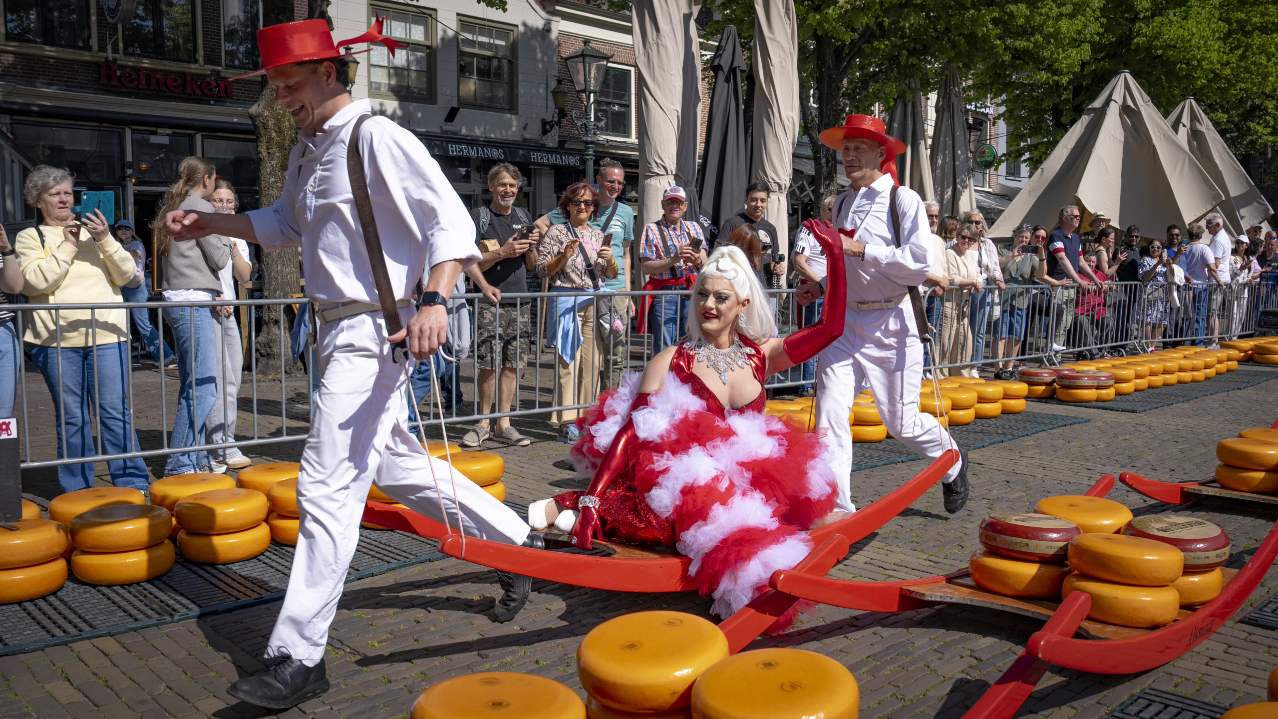 Dragqueen in rode en witte outfit wordt vervoerd op een houten drager bij een kaasmuseum, omgeven door toeschouwers.