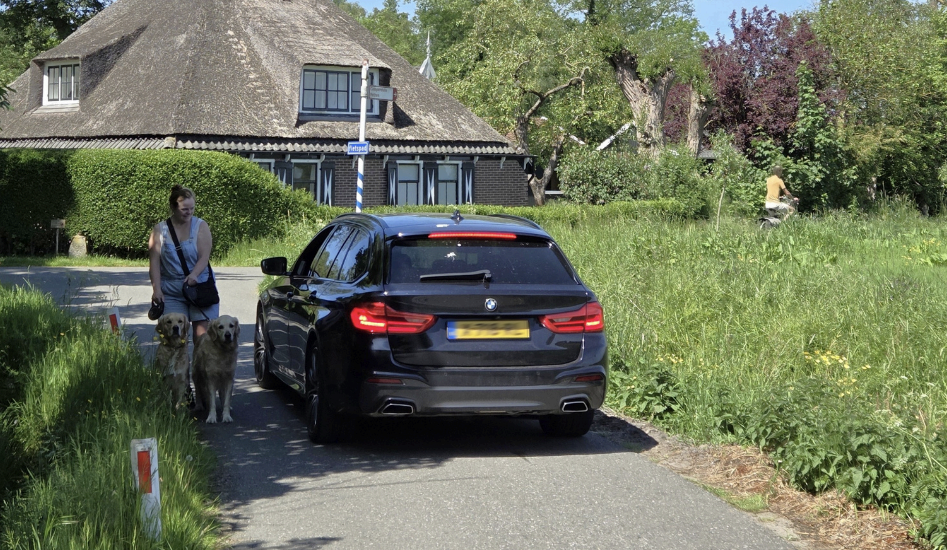 Een vrouw wandelt met haar twee honden langs een zwarte auto op een landelijk pad met een rieten dak huis op de achtergrond.