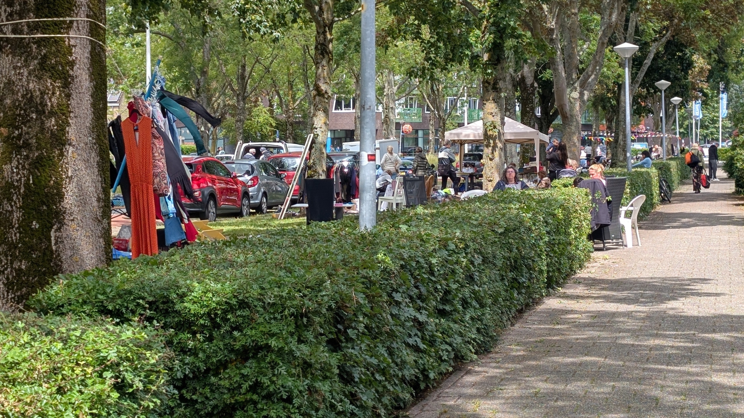 Marktkraampjes en mensen op een zonnige dag langs een met bomen omzoomde laan met auto's op de achtergrond.