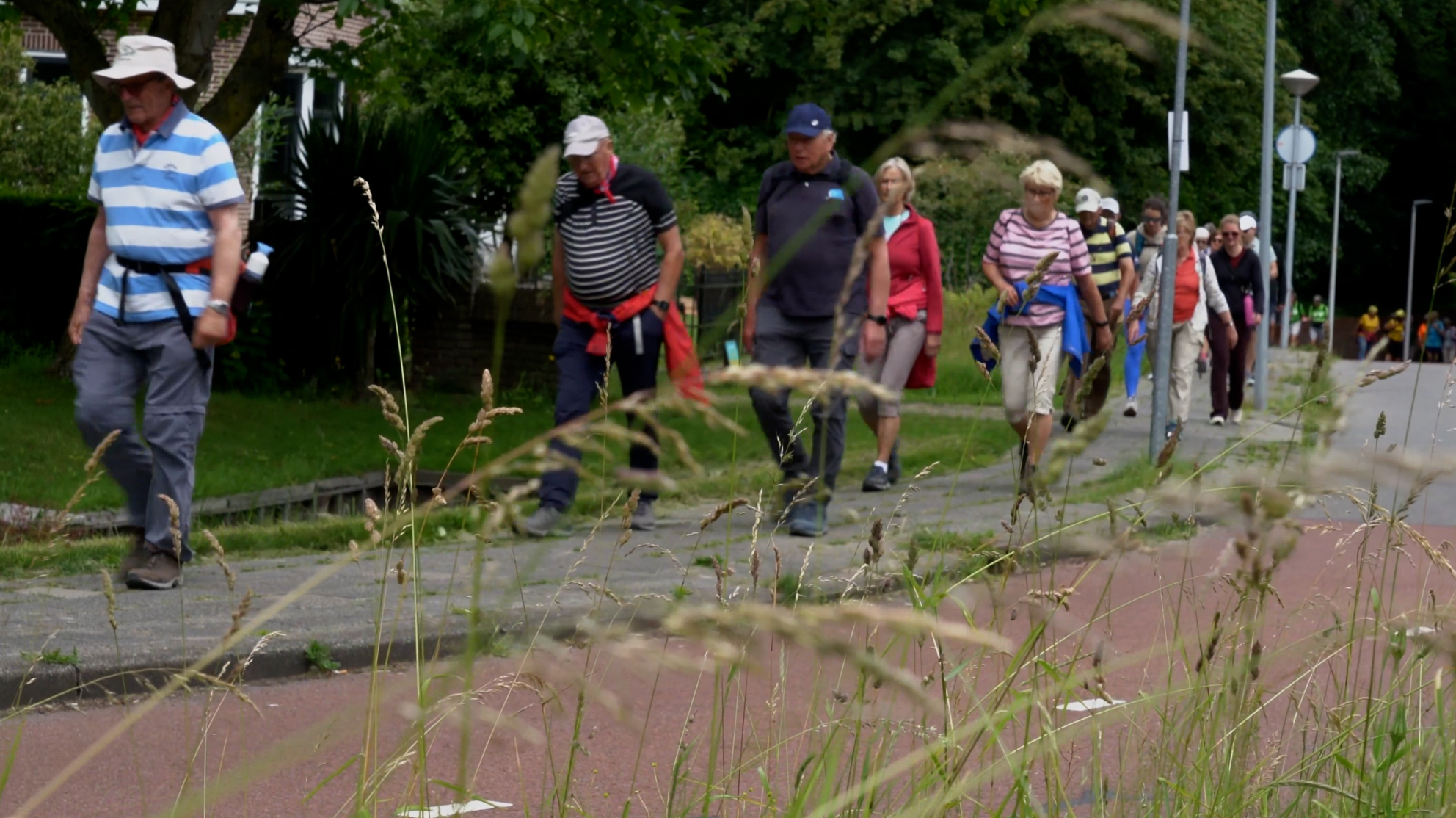 Een groep mensen wandelt over een pad omgeven door gras en bomen, met verkeersborden op de achtergrond.
