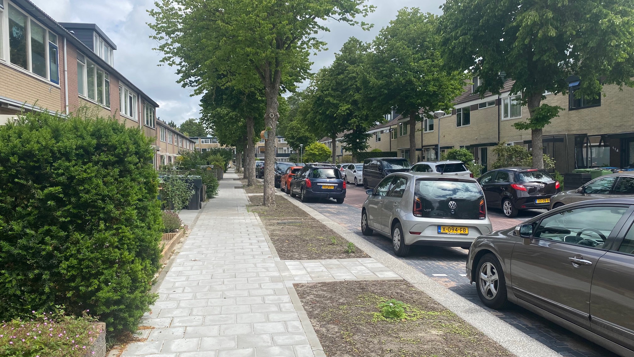 Een rustige straat met geparkeerde auto's naast een stoep en rijtjeshuizen omgeven door groene bomen.