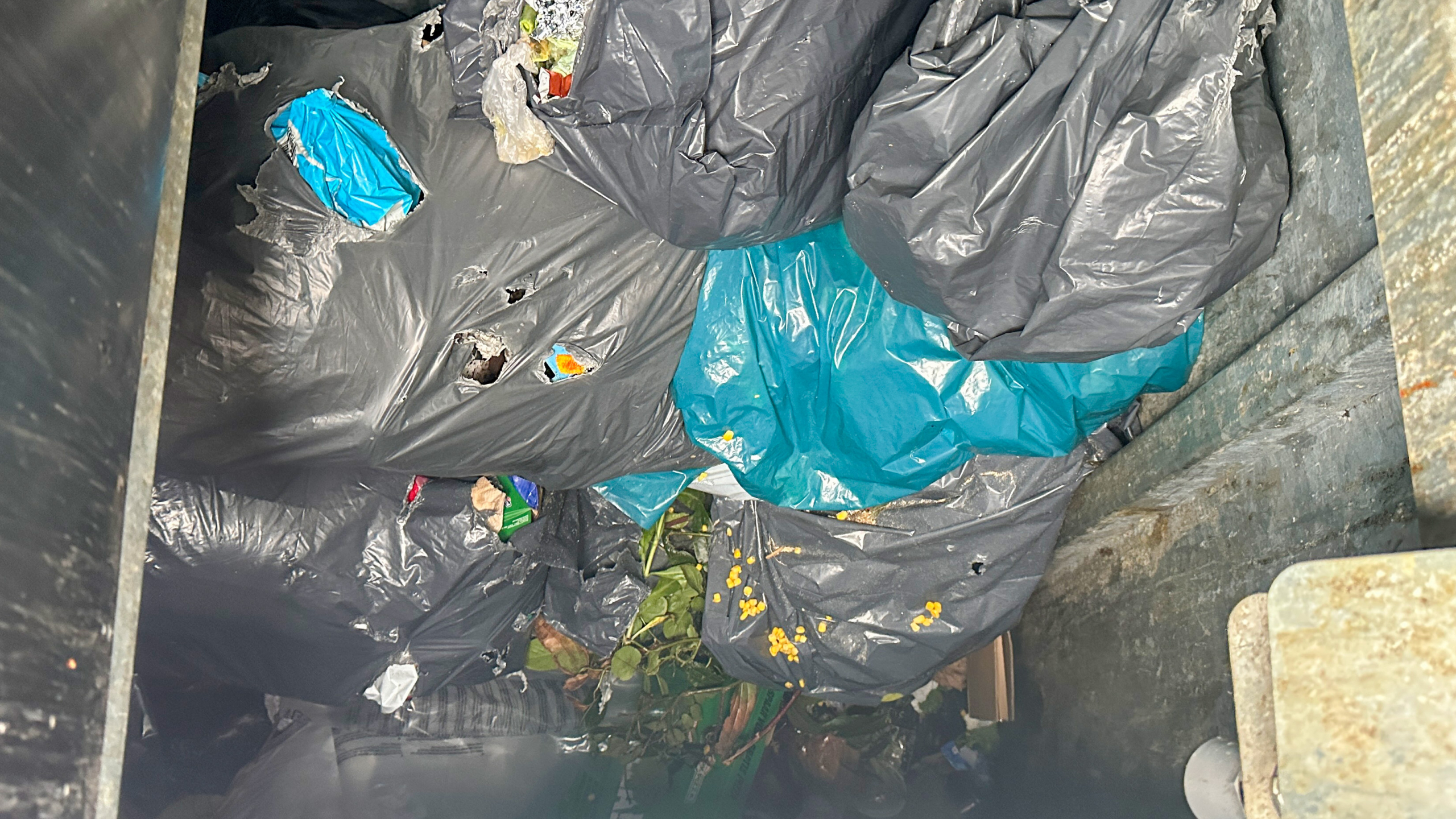 Meerdere vuilniszakken in een container, met enkele gescheurde zakken die hun inhoud onthullen, waaronder etensresten en plantdelen.