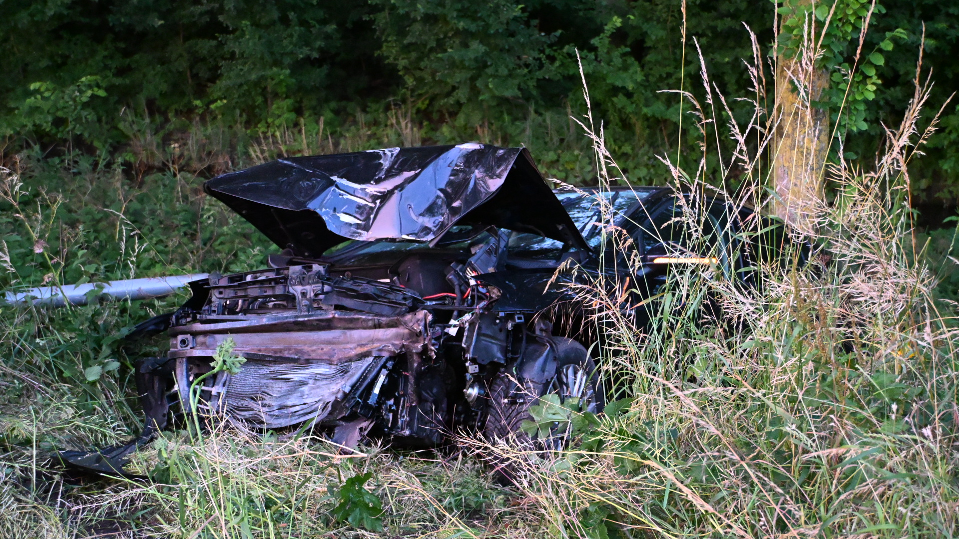 Zwaar beschadigde auto naast de weg in hoog gras, omgeven door bomen.