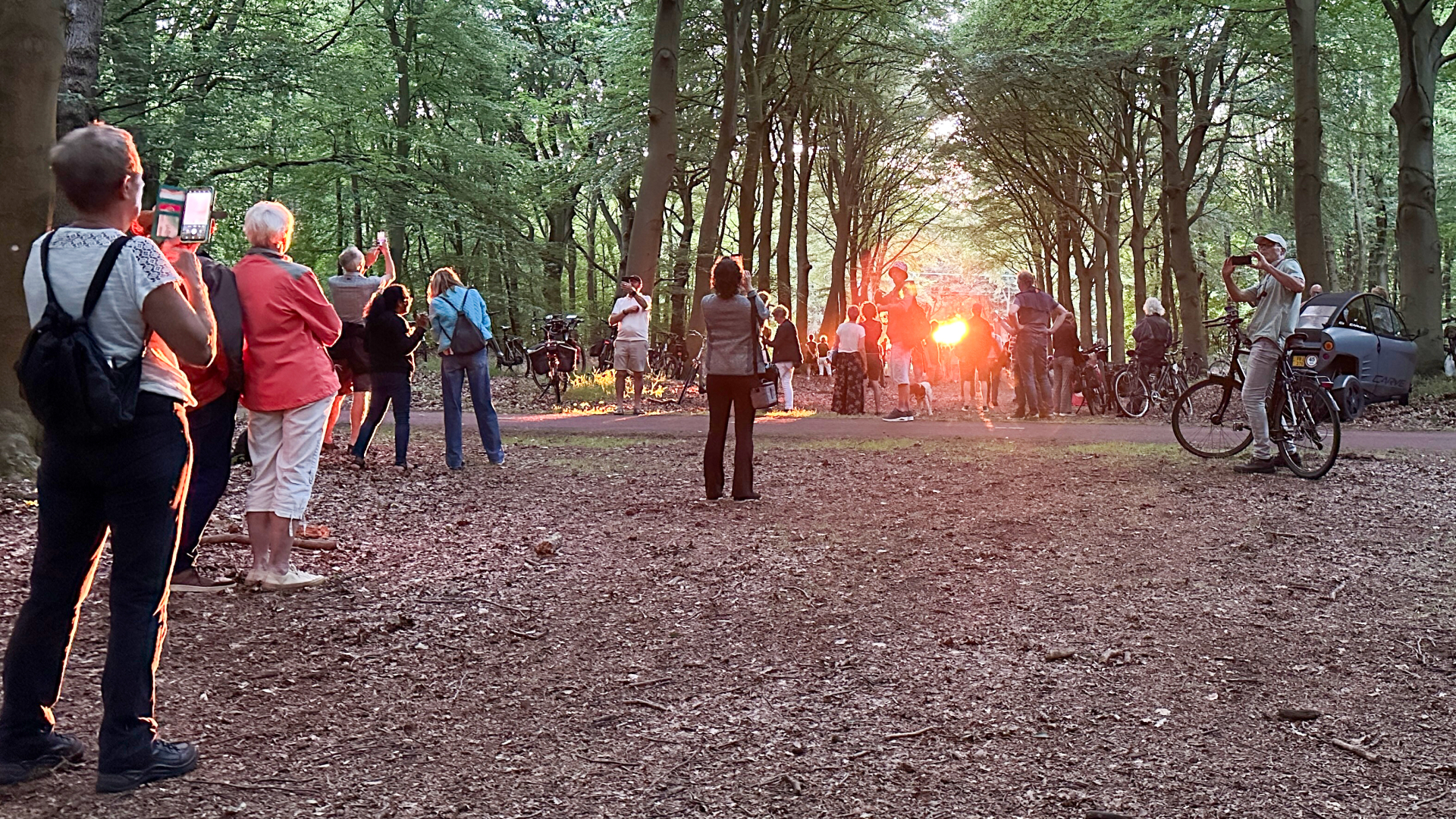 Mensen verzamelen zich in een bos en maken foto's van de zonsondergang met hun telefoons.