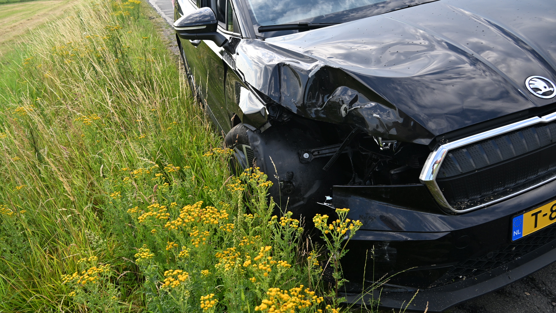 Zwarte auto met beschadigde voorkant staat naast een weg met hoog gras en gele bloemen.
