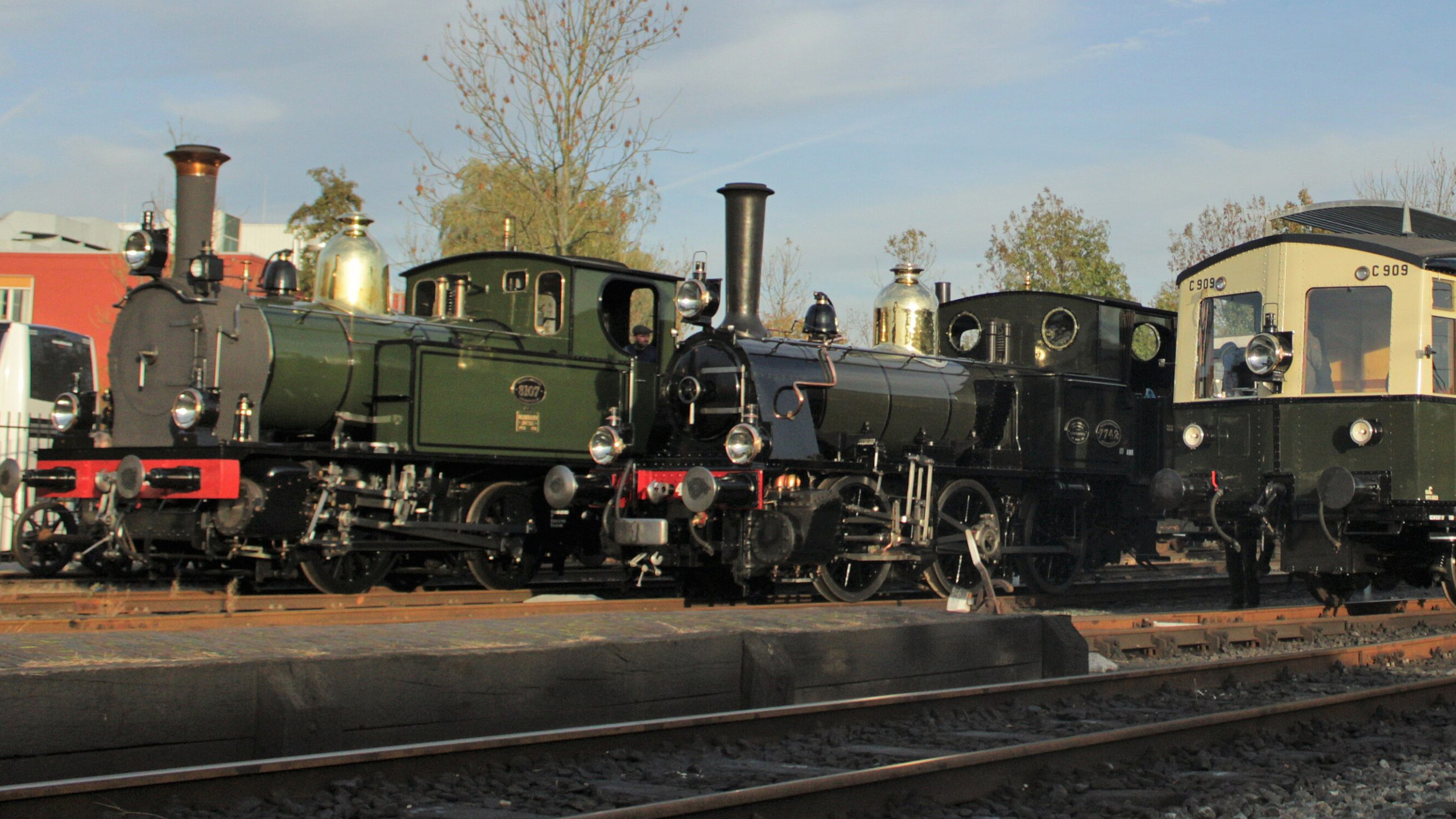 Vintage stoomlocomotieven en een historische treinwagon staan naast elkaar op een spoor, omringd door bomen.