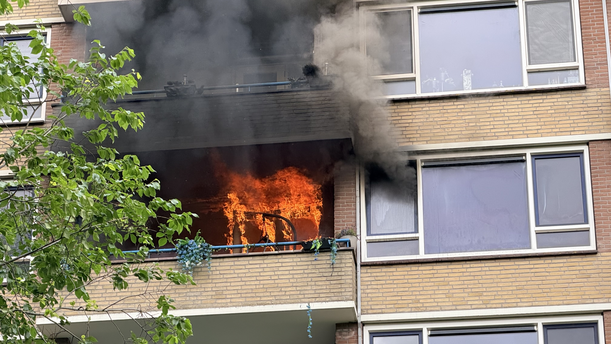 Appartementbrand met vlammen en rook op een balkon van een bakstenen gebouw, met groene bladeren op de voorgrond.