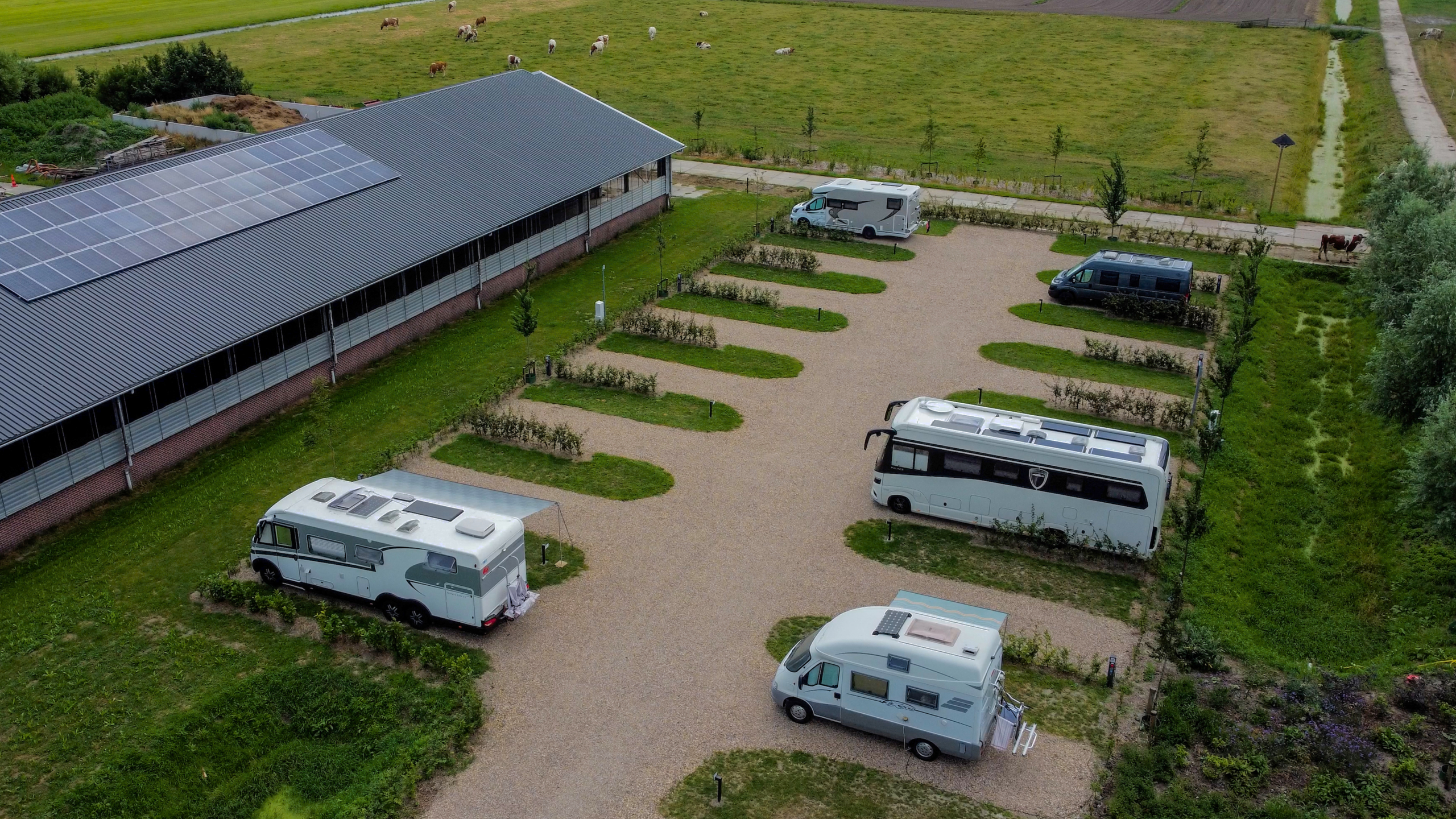 Luchtfoto van camperplaats naast schuur met zonnepanelen, met meerdere campers en koeien in de wei