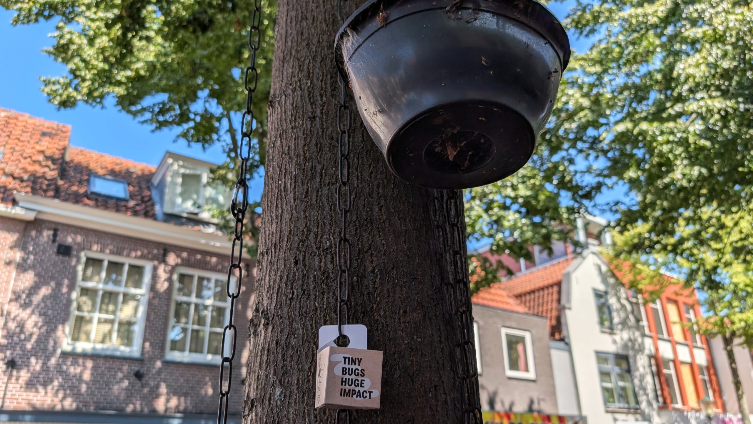 Hangende zwarte plantenpot aan een boom, met label “TINY BUGS HUGE IMPACT” en huizen op de achtergrond