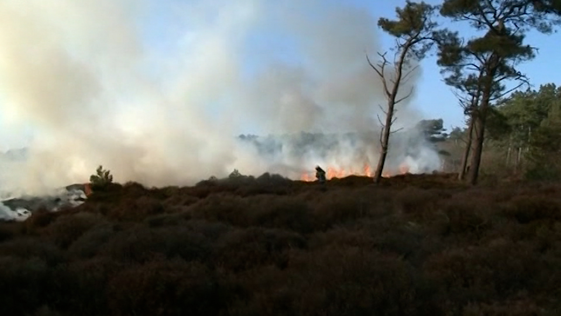 Bosbrand op een heuvel met rookwolken en vlammen tussen struiken en bomen, met een brandweerman in de verte