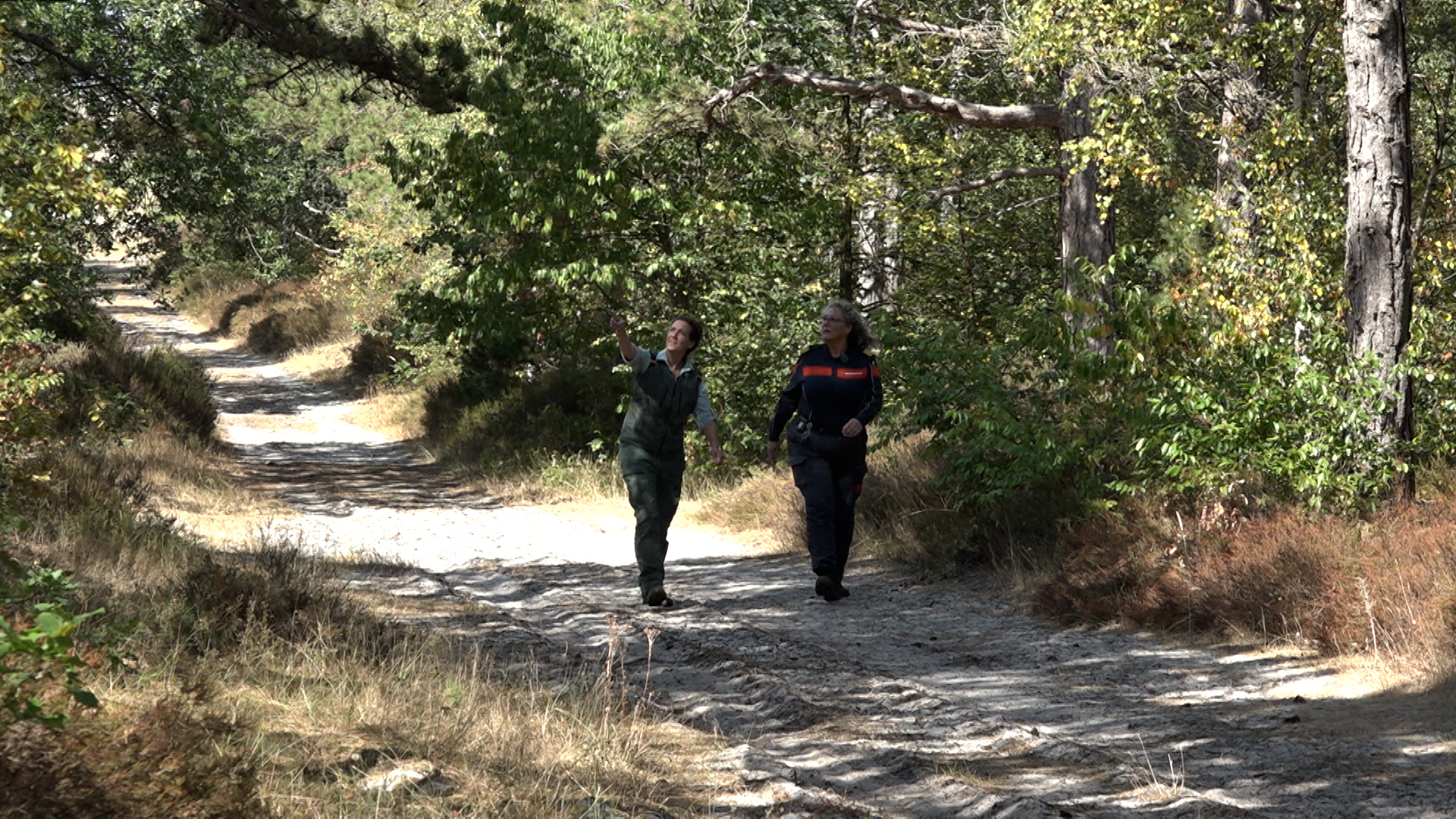 Twee mensen wandelen over een zandpad in het bos, terwijl een van hen omhoog wijst naar de bomen