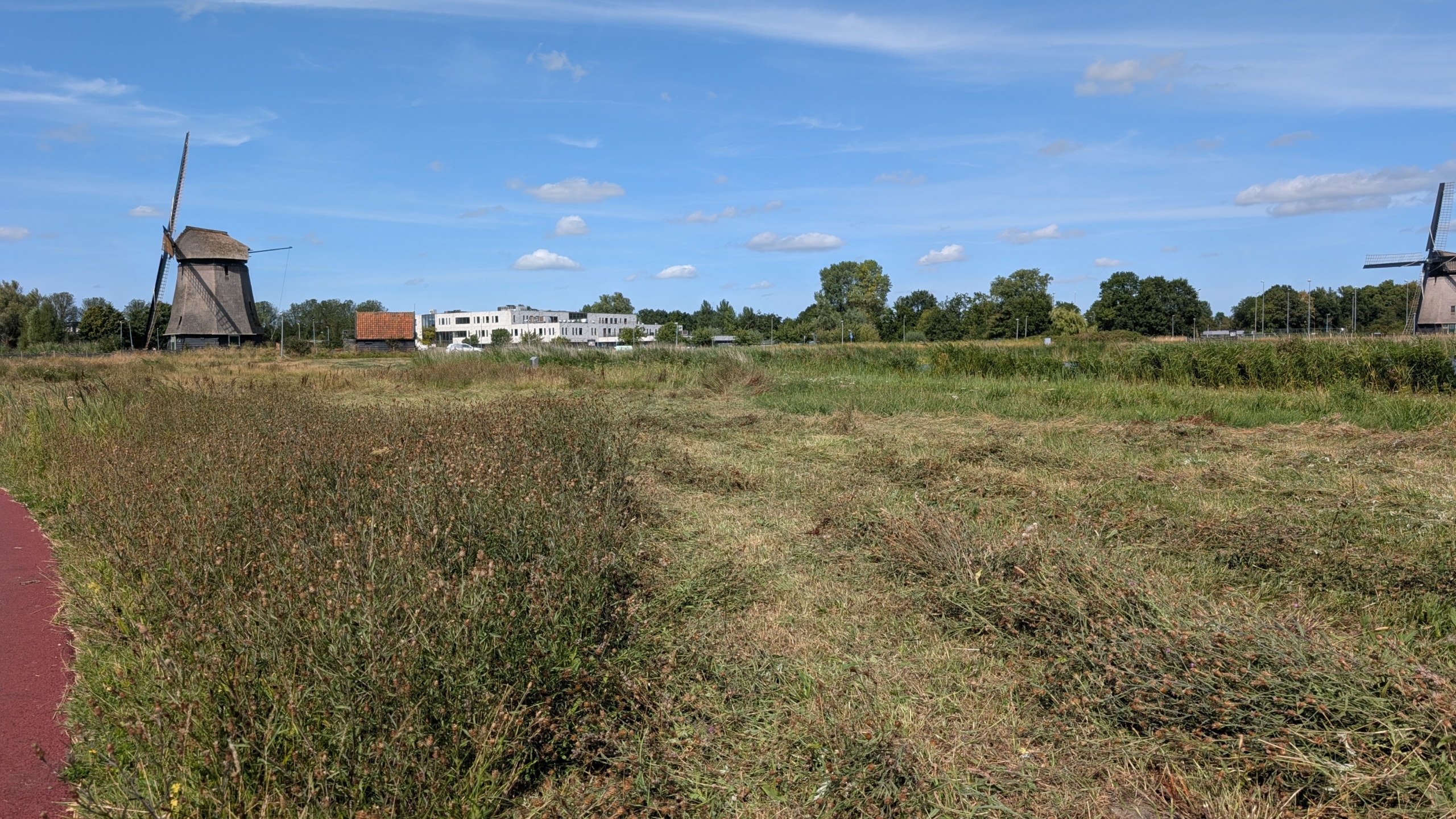 Weids grasland met twee windmolens aan de randen, bomen en gebouwen op de achtergrond onder een blauwe lucht