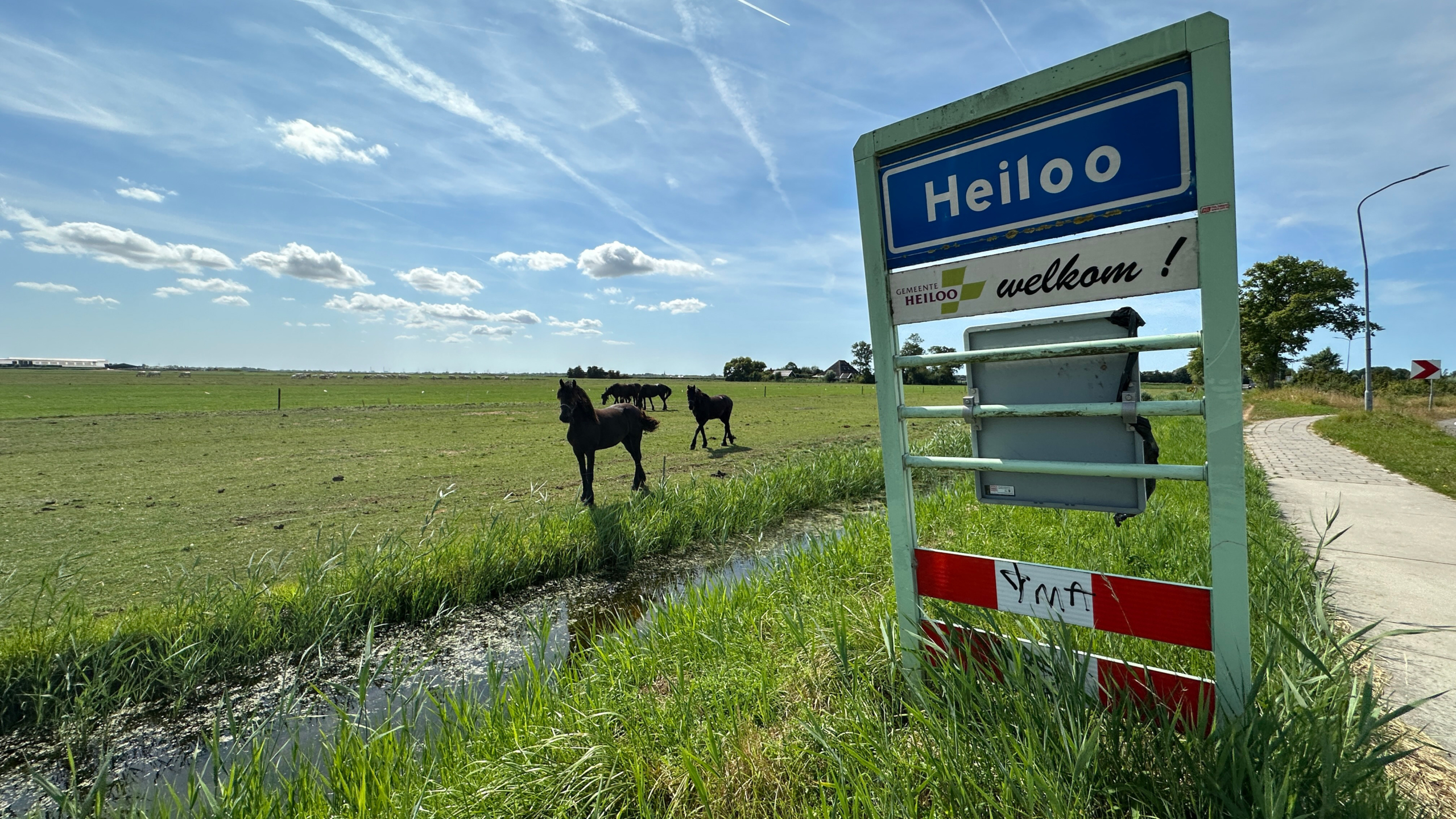 Plaatsnaambord Heiloo met “welkom!” langs een weg, met paarden in een groen weiland onder blauwe lucht