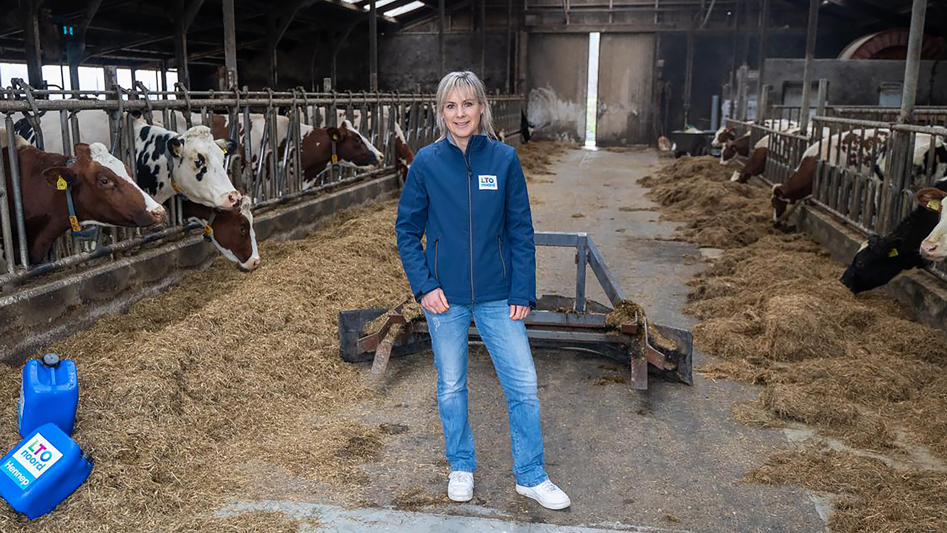 Vrouw in blauwe jas met LTO Noord-logo staat in een stal tussen koeien en stro, met voerschuif achter haar