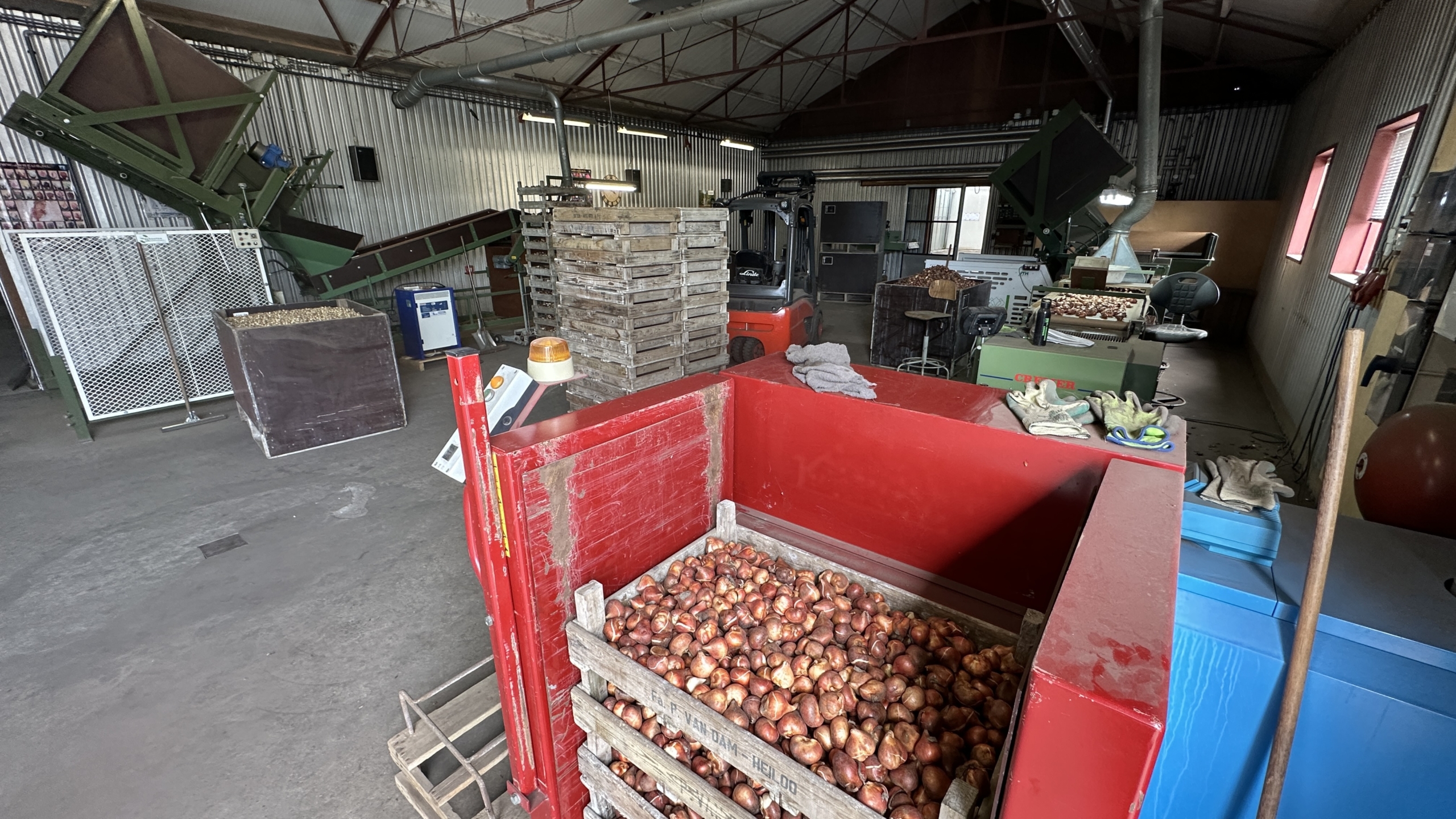 Werkplaats met machines voor het sorteren van kastanjes, met stapels houten kisten en een rode bak vol kastanjes