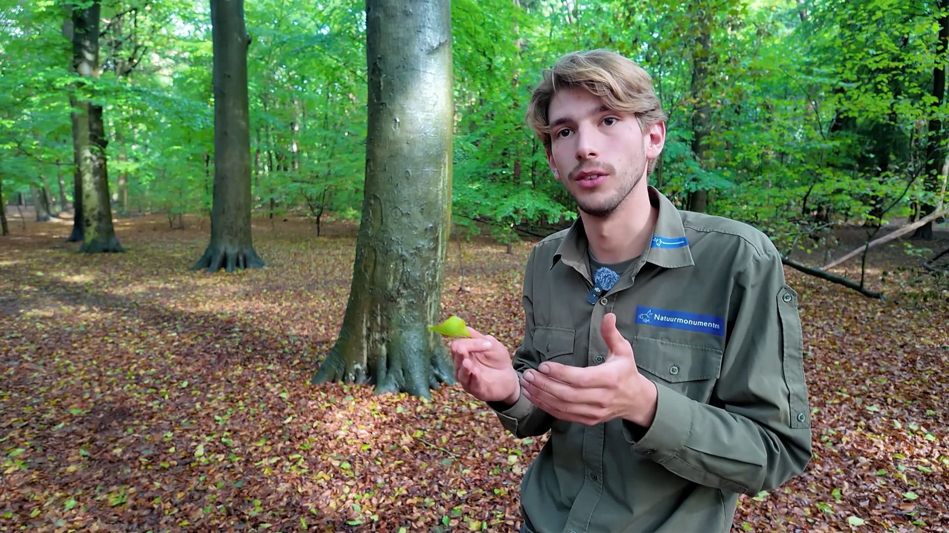 Man in groen uniform met logo Natuurmonumenten legt iets uit in een bos met hoge bomen en blad op de grond