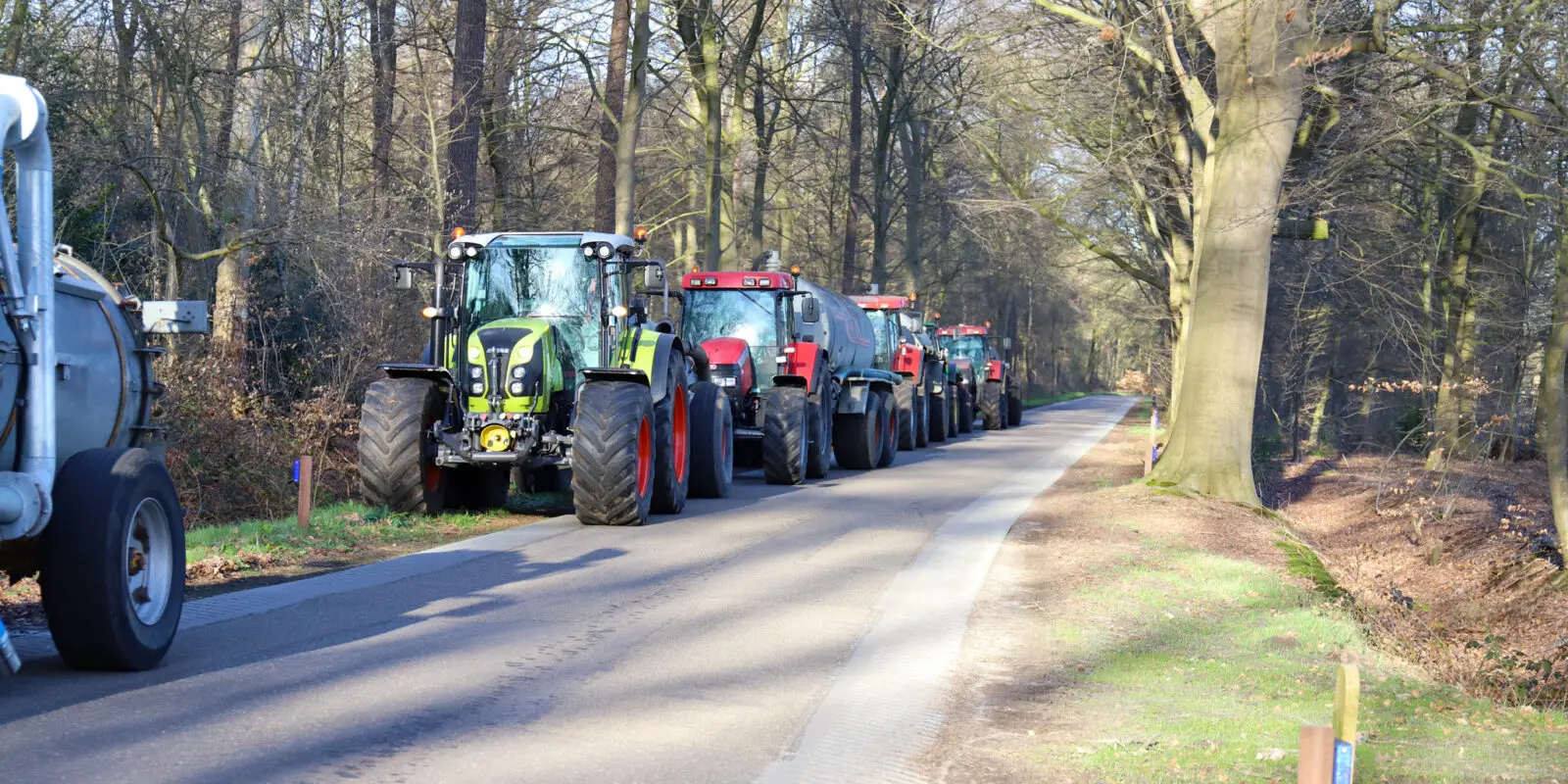 Rij tractoren met aanhangers rijdt over een smalle weg door een bos met kale bomen