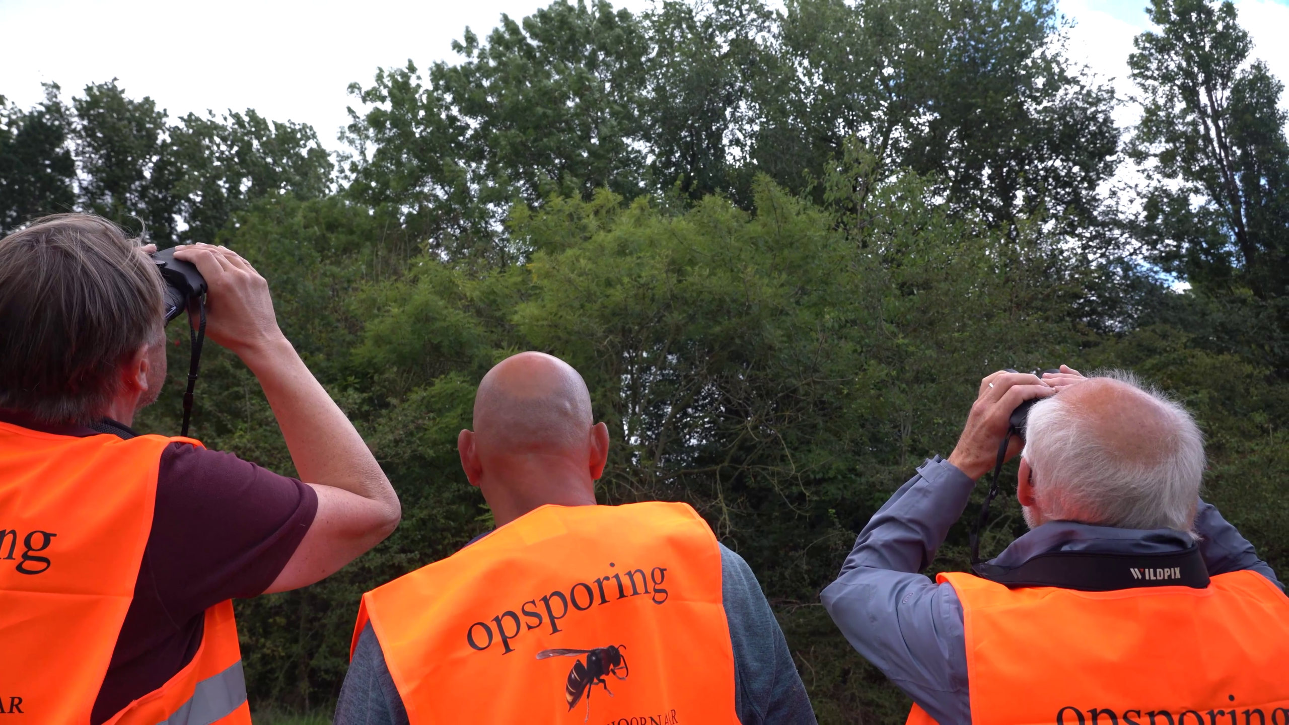 Drie mensen met oranje veiligheidshesjes kijken met verrekijkers omhoog naar bomen tijdens een opsporingsactie