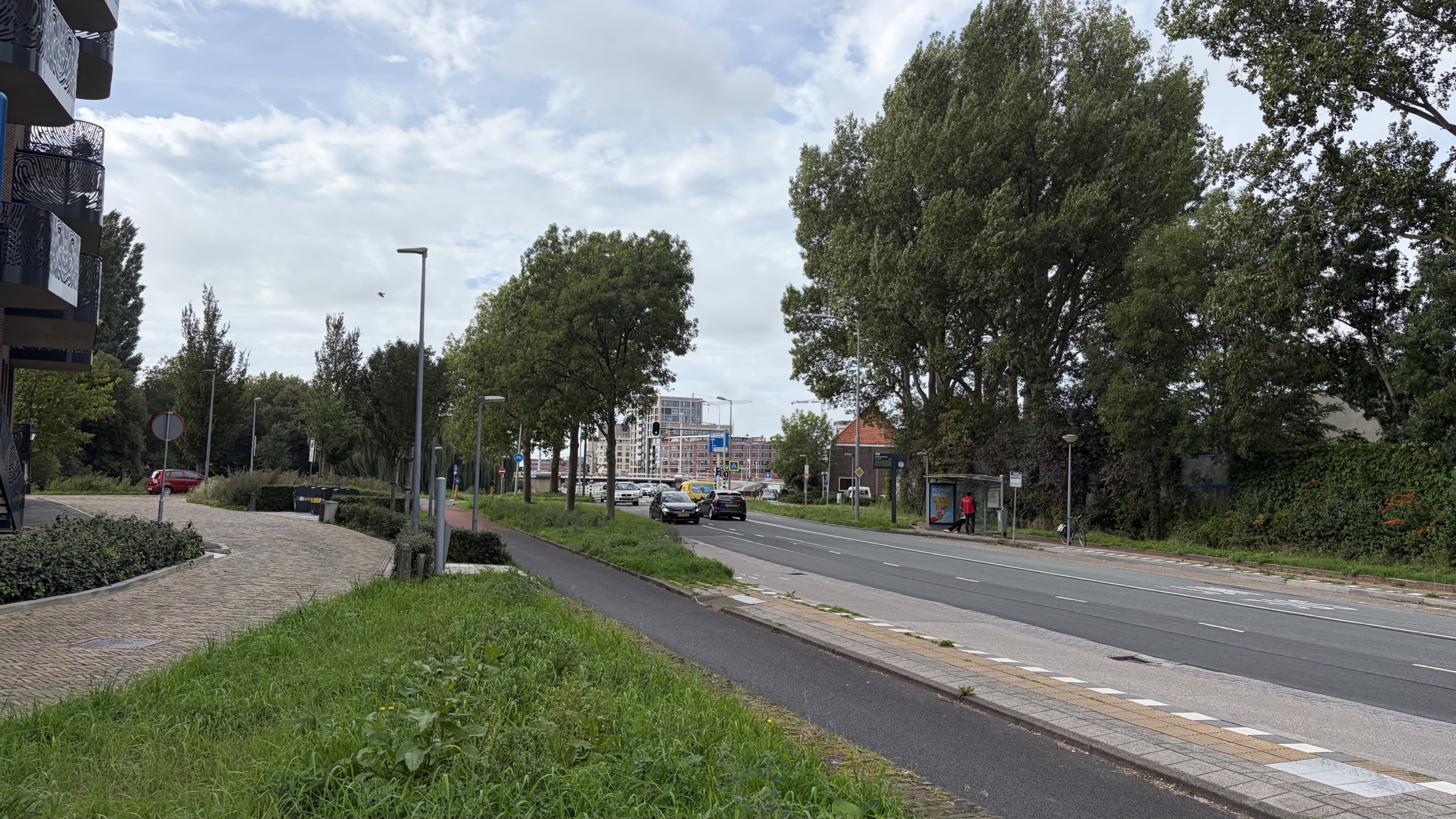 Stadsweg met rijstroken, fietspad en bushalte tussen hoge bomen, met auto’s en flats op de achtergrond