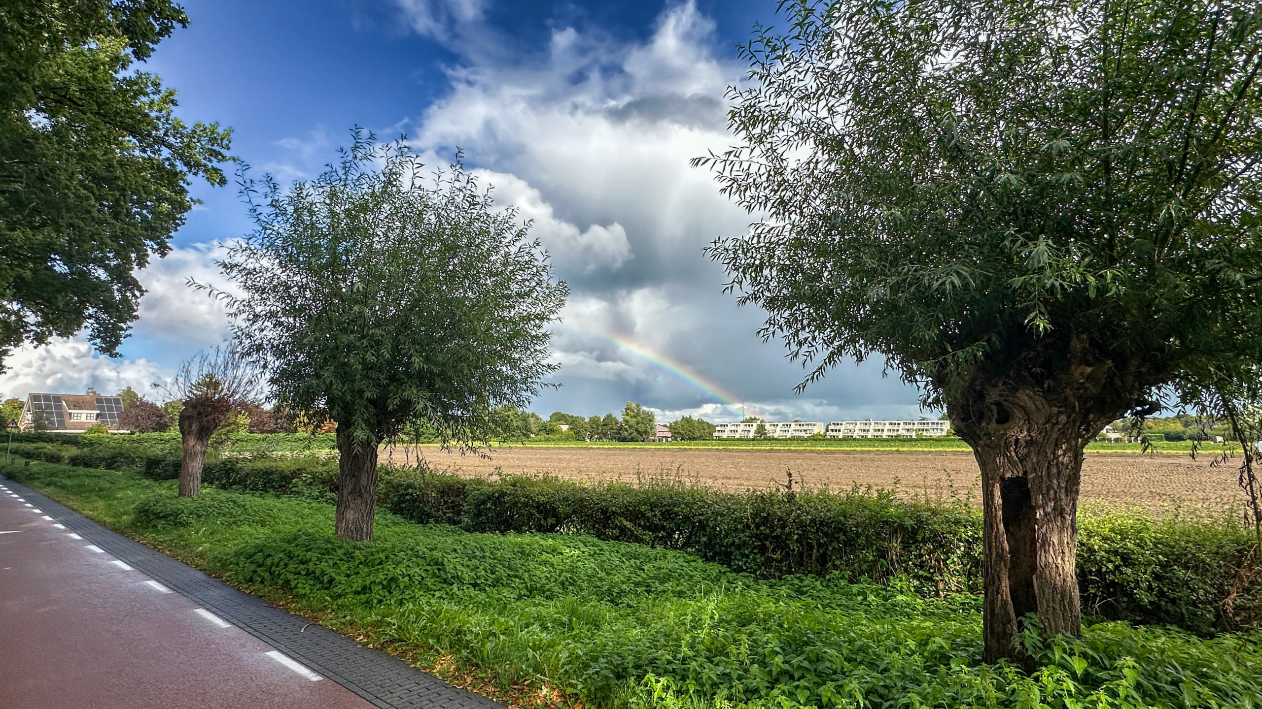 Regenboog boven een open akker, gezien vanaf een fietspad tussen bomen en struiken onder een bewolkte lucht