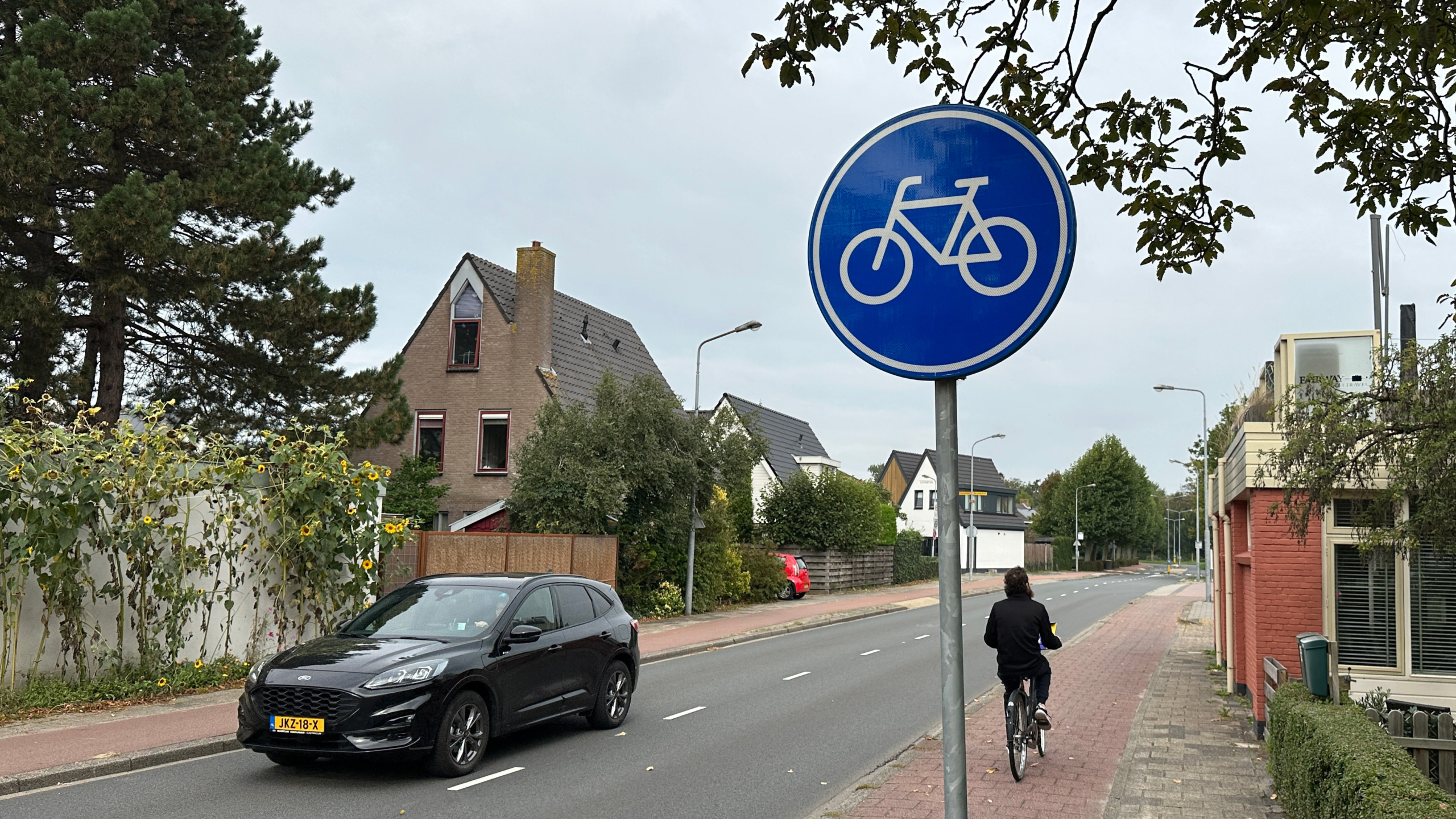Blauw verkeersbord met fietssymbool langs een straat met fietspad, huizen en een fietser op de voorgrond
