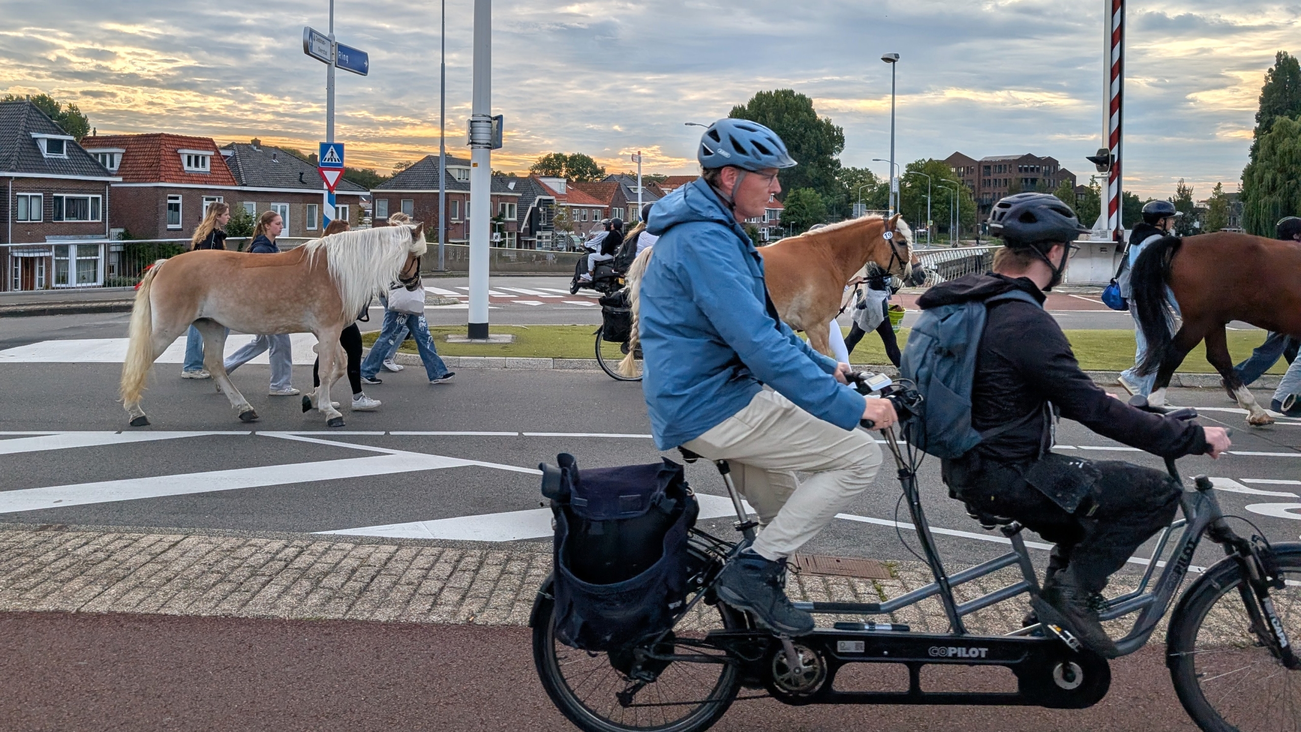 Fietsers op een tandem passeren een groep wandelaars die paarden over een kruispunt leidt, met huizen op de achtergrond