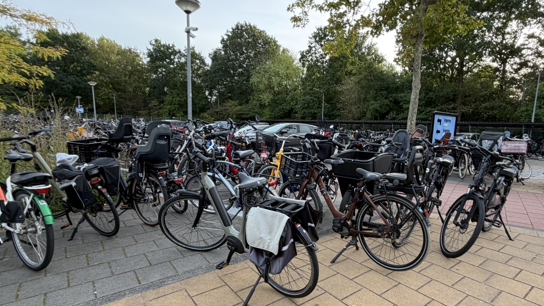 Overvolle fietsenstalling met veel (bak)fietsen en kinderzitjes langs een pad met bomen op de achtergrond