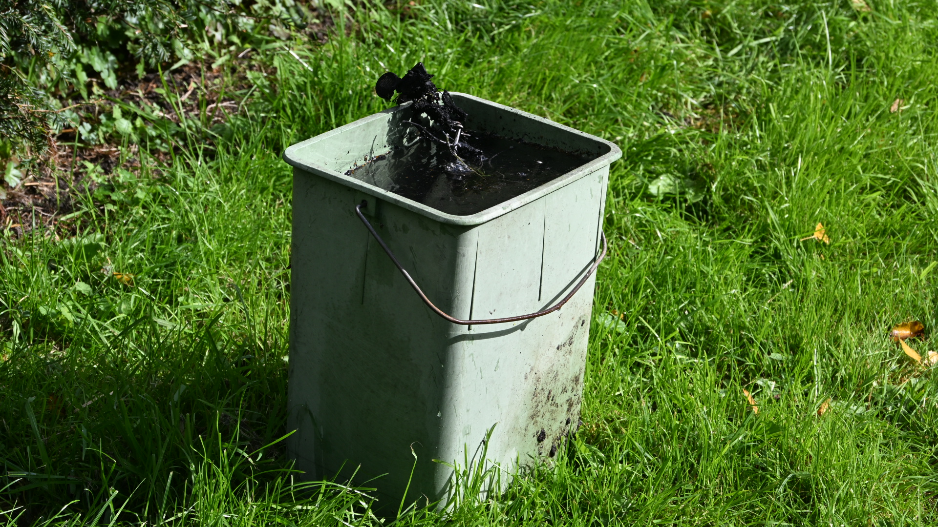 Groene kunststof emmer met donker water en modderig net, staand in het gras in de zon
