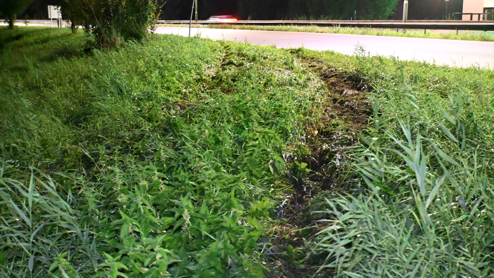 Bandensporen in nat gras langs een weg bij nacht, met een voorbijrijdende auto op de achtergrond