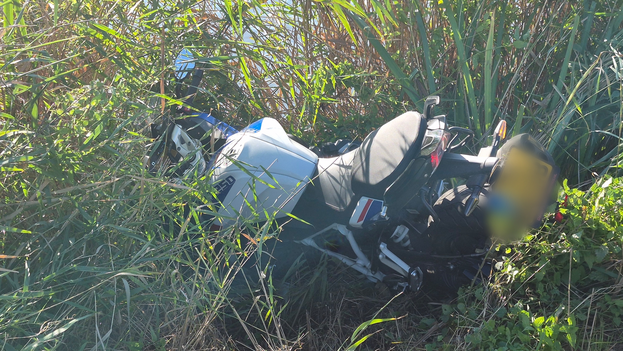 Motorfiets ligt omgevallen tussen hoog riet en gras langs de waterkant, met zichtbaar achterwiel en kenteken