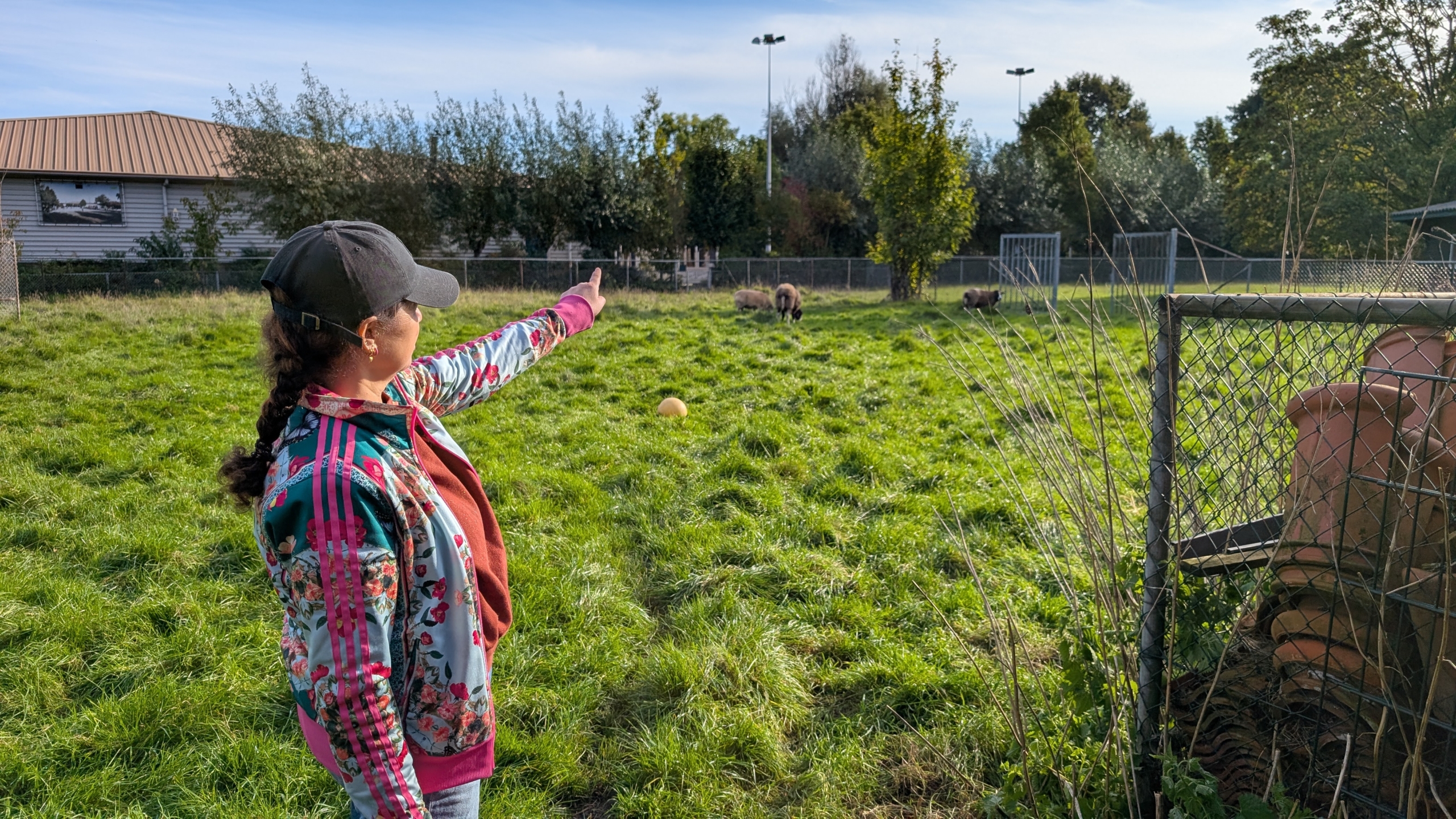 Vrouw met pet wijst naar schapen in een groene weide, met hekwerk en stapel terracotta potten op de voorgrond