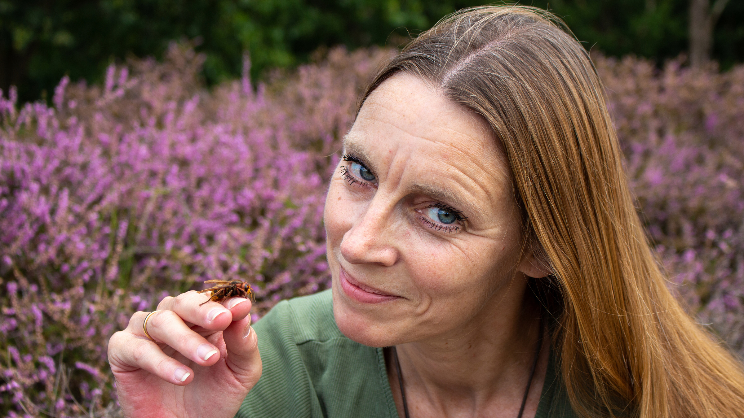 Vrouw met lang haar bekijkt een grote insect op haar vingertop, met paarse heide op de achtergrond